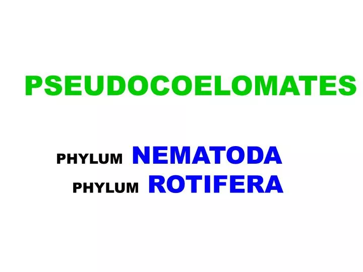 pseudocoelomates