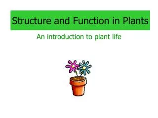 Structure and Function in Plants