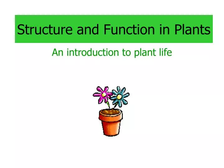 structure and function in plants