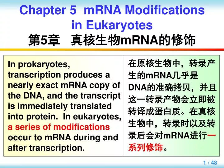 chapter 5 mrna modifications in eukaryotes 5 mrna