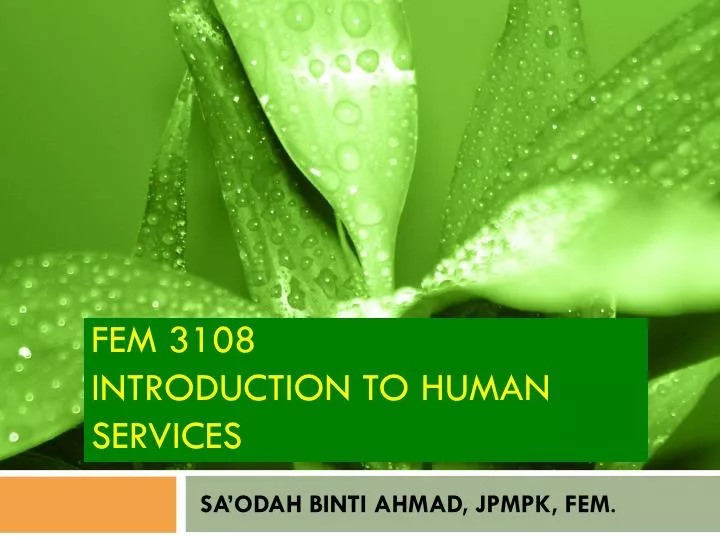 fem 3108 introduction to human services