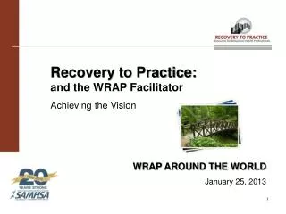 Recovery to Practice: and the WRAP Facilitator Achieving the Vision