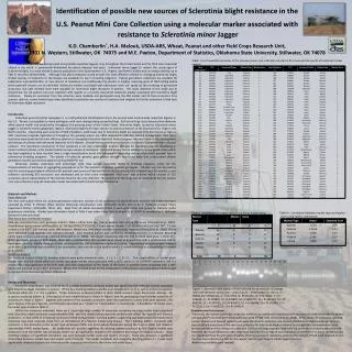 Identification of possible new sources of Sclerotinia blight resistance in the