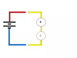 Initial Transient