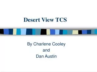 Desert View TCS