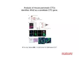 M Yu et al. Nature 000 , 1-4 (2012) doi:10.1038/nature11217