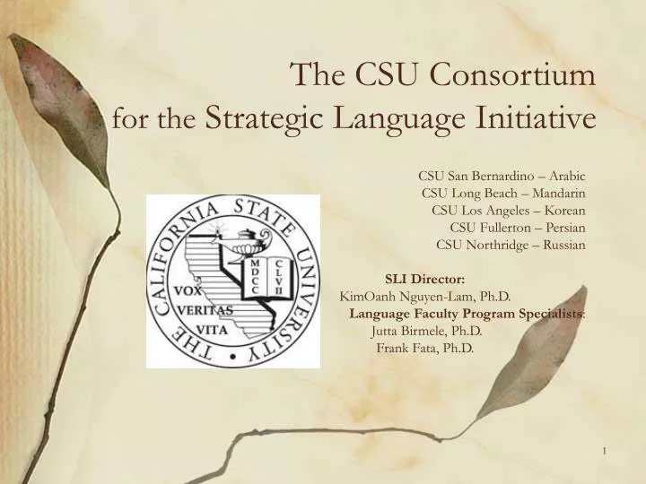 the csu consortium for the strategic language initiative
