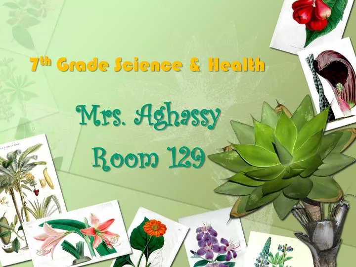 7 th grade science health
