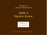TOPIC 8 Digestive System