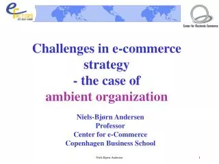 Challenges in e-commerce strategy - the case of ambient organization