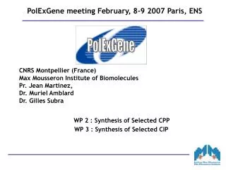 PolExGene meeting February, 8-9 2007 Paris, ENS