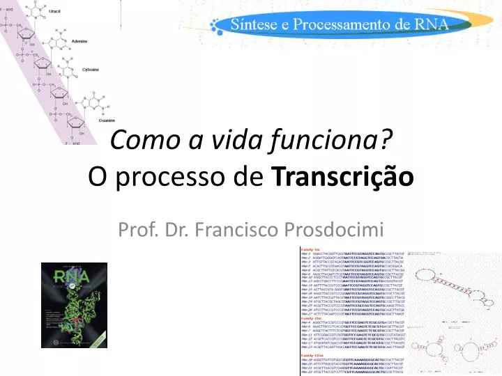 como a vida funciona o processo de transcri o