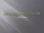 METABOLISMO CELULAR - slide 1