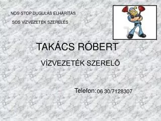 tak cs r bert
