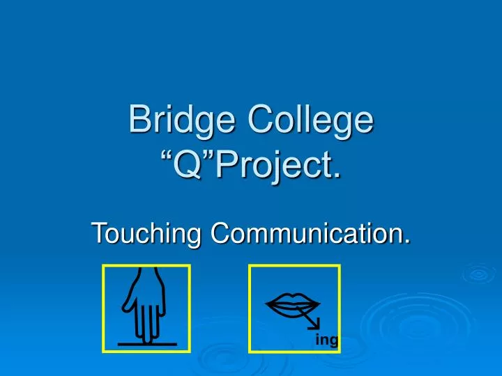 bridge college q project