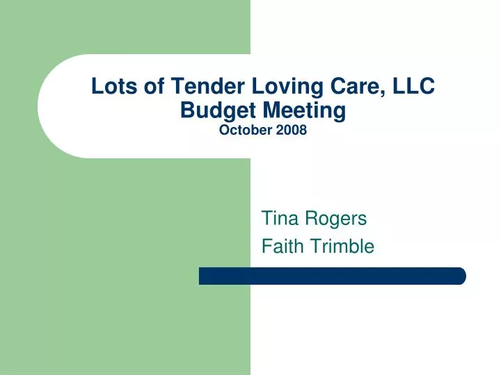 lots of tender loving care llc budget meeting october 2008