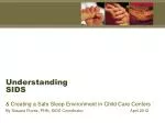 Understanding SIDS - slide 1