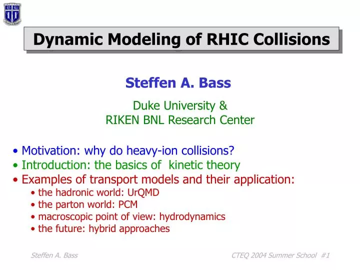 dynamic modeling of rhic collisions