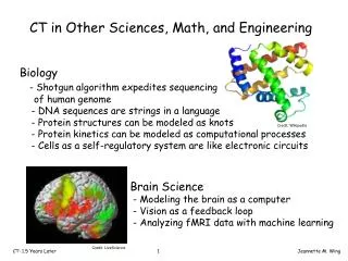 CT in Other Sciences, Math, and Engineering