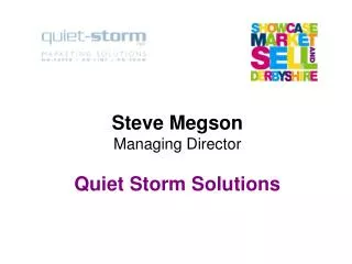Steve Megson Managing Director Quiet Storm Solutions