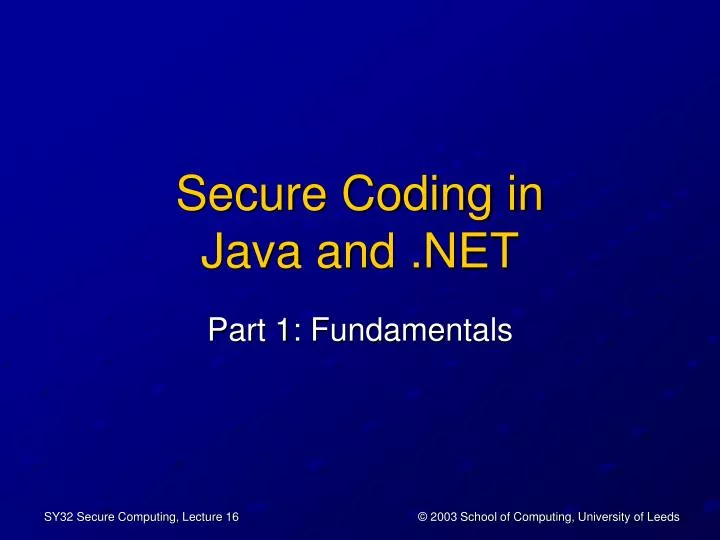 secure coding in java and net