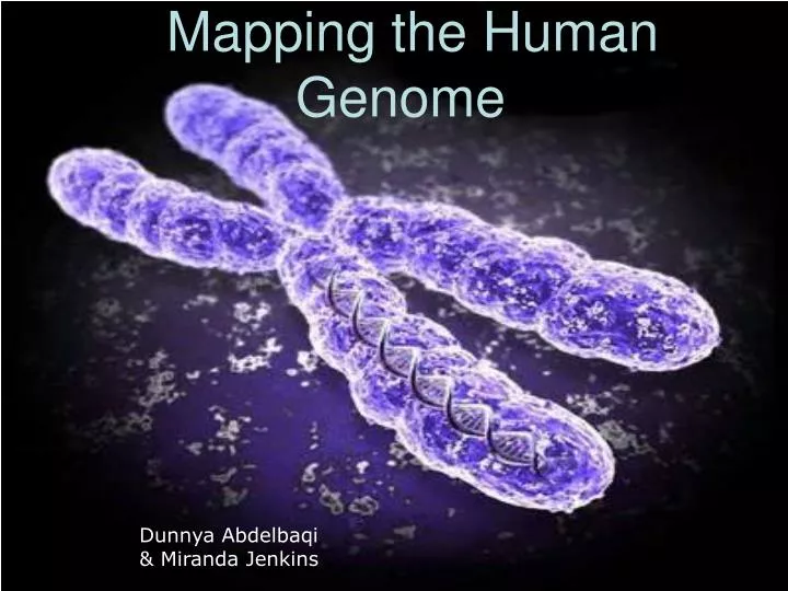 mapping the human genome