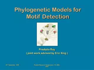 Phylogenetic Models for Motif Detection