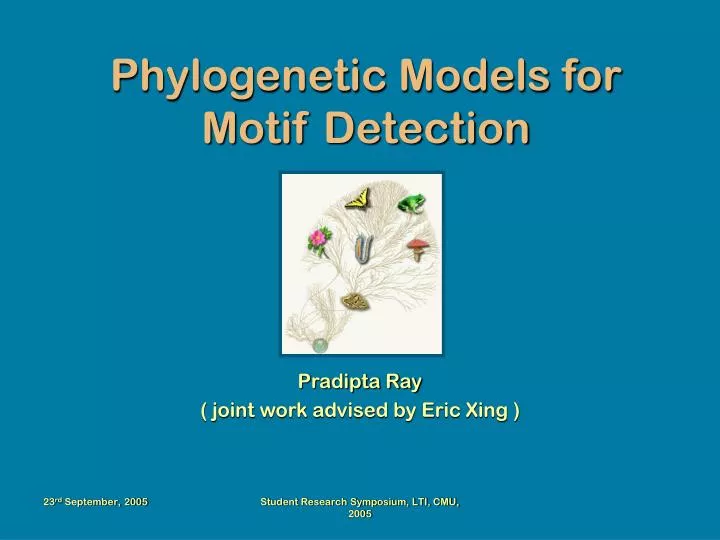 phylogenetic models for motif detection