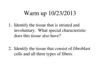 warm up 10 23 2013