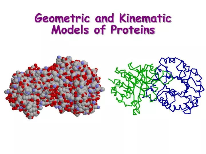 geometric and kinematic models of proteins