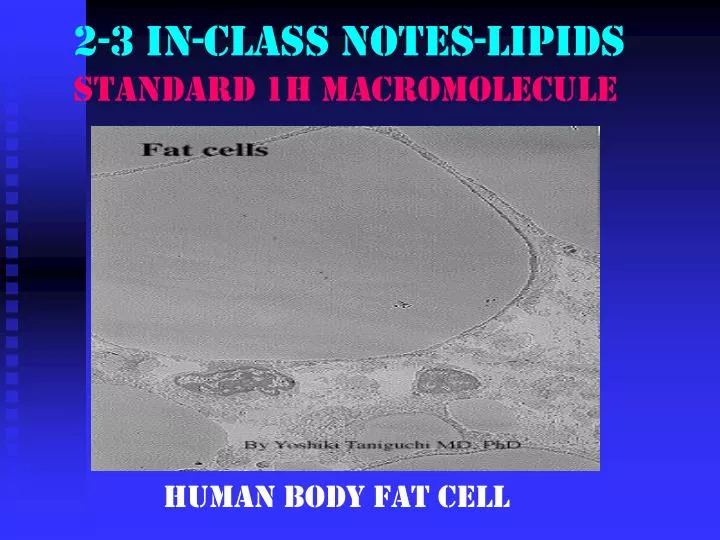 2 3 in class notes lipids standard 1h macromolecule
