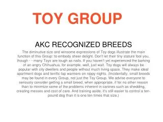 TOY GROUP