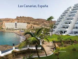 las canarias espa a