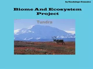 by Guadalupe Gonzalez Biome And Ecosystem Project