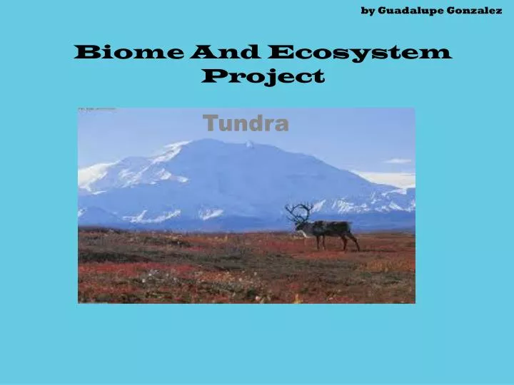 by guadalupe gonzalez biome and ecosystem project