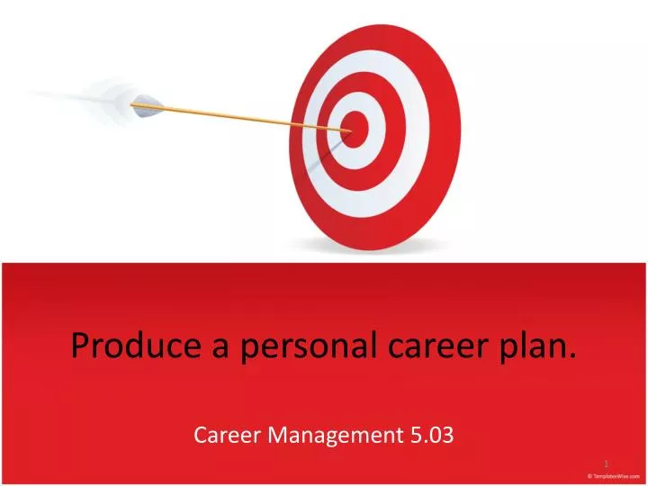 produce a personal career plan
