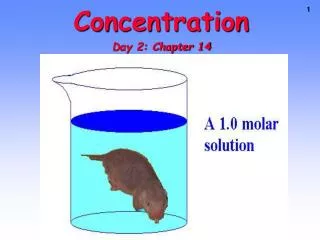 Concentration Day 2: Chapter 14
