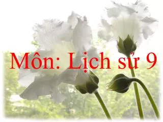 m n l ch s 9