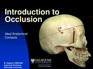 Introduction to Occlusion
