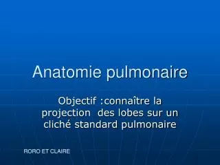 objectif conna tre la projection des lobes sur un clich standard pulmonaire