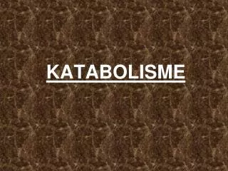 katabolisme