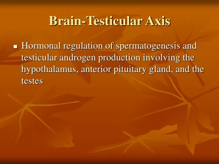 brain testicular axis