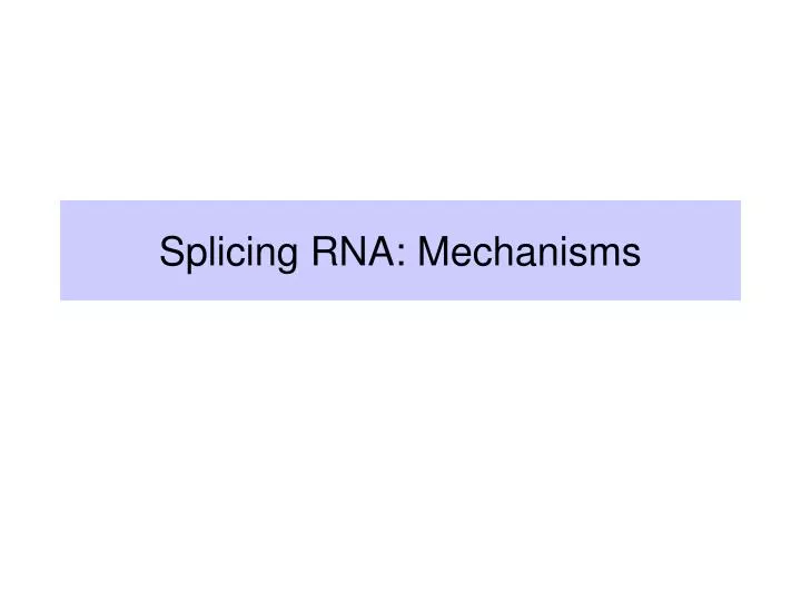 splicing rna mechanisms
