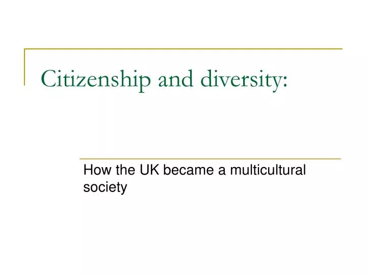 citizenship and diversity