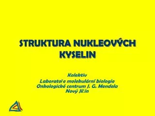 struktura nukleov ch kyselin