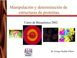 manipulaci n y determinaci n de estructuras de prote nas