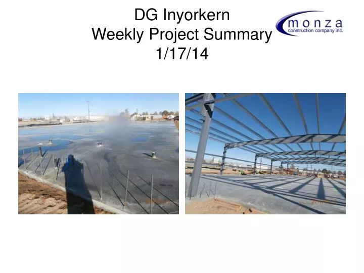 dg inyorkern weekly project summary 1 17 14