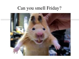 Can you smell Friday?