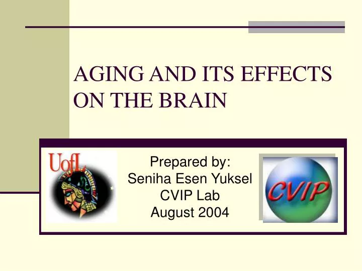 aging and its effects on the brain