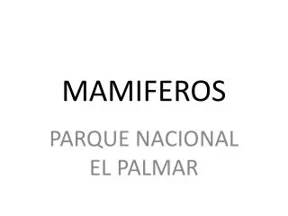 mamiferos